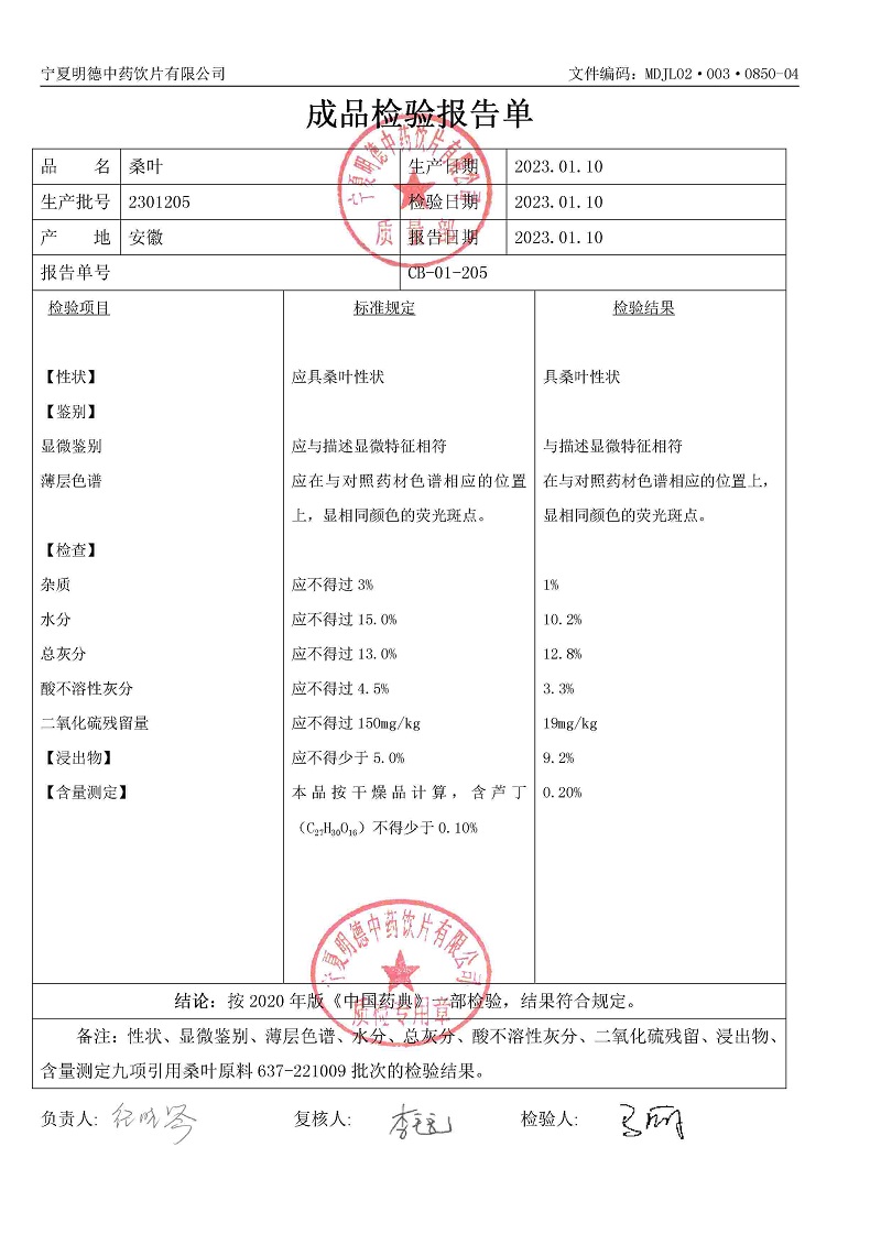 2301205桑叶.jpg