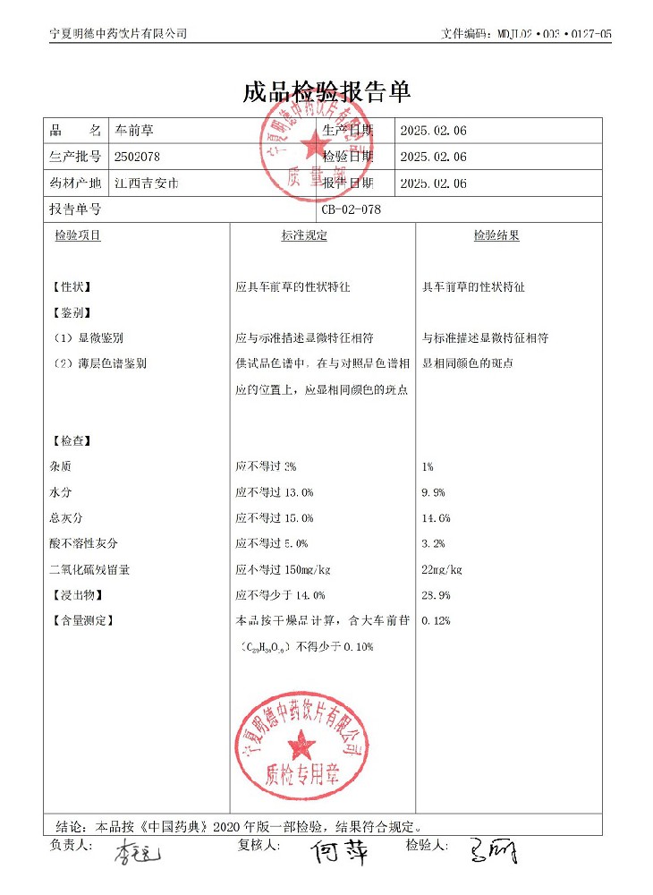 2502078车前草.jpg