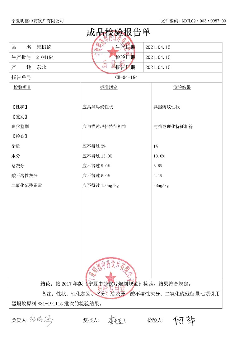 2104184黑蚂蚁.jpg