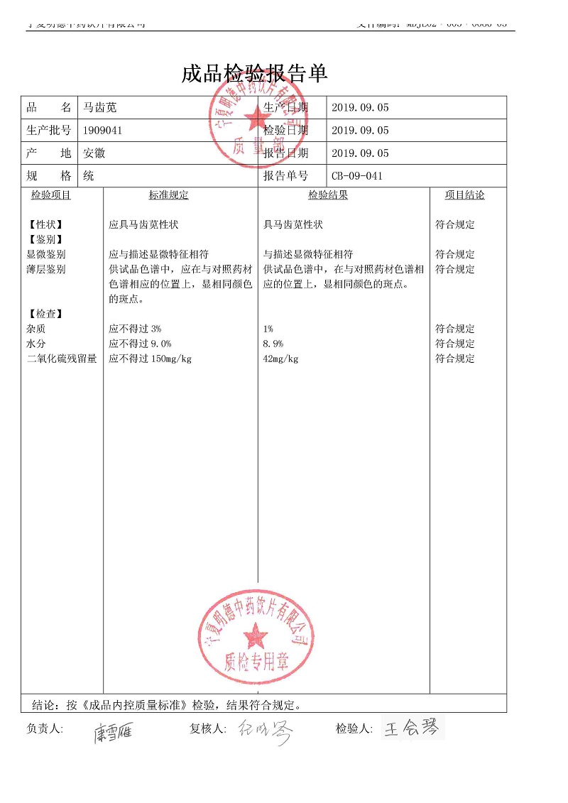 1909041马齿苋.jpg