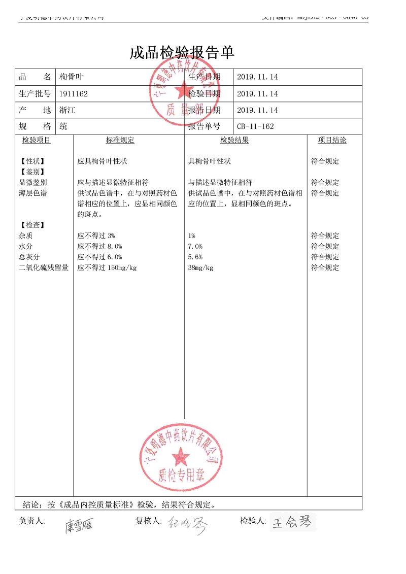 1911162枸骨叶.jpg