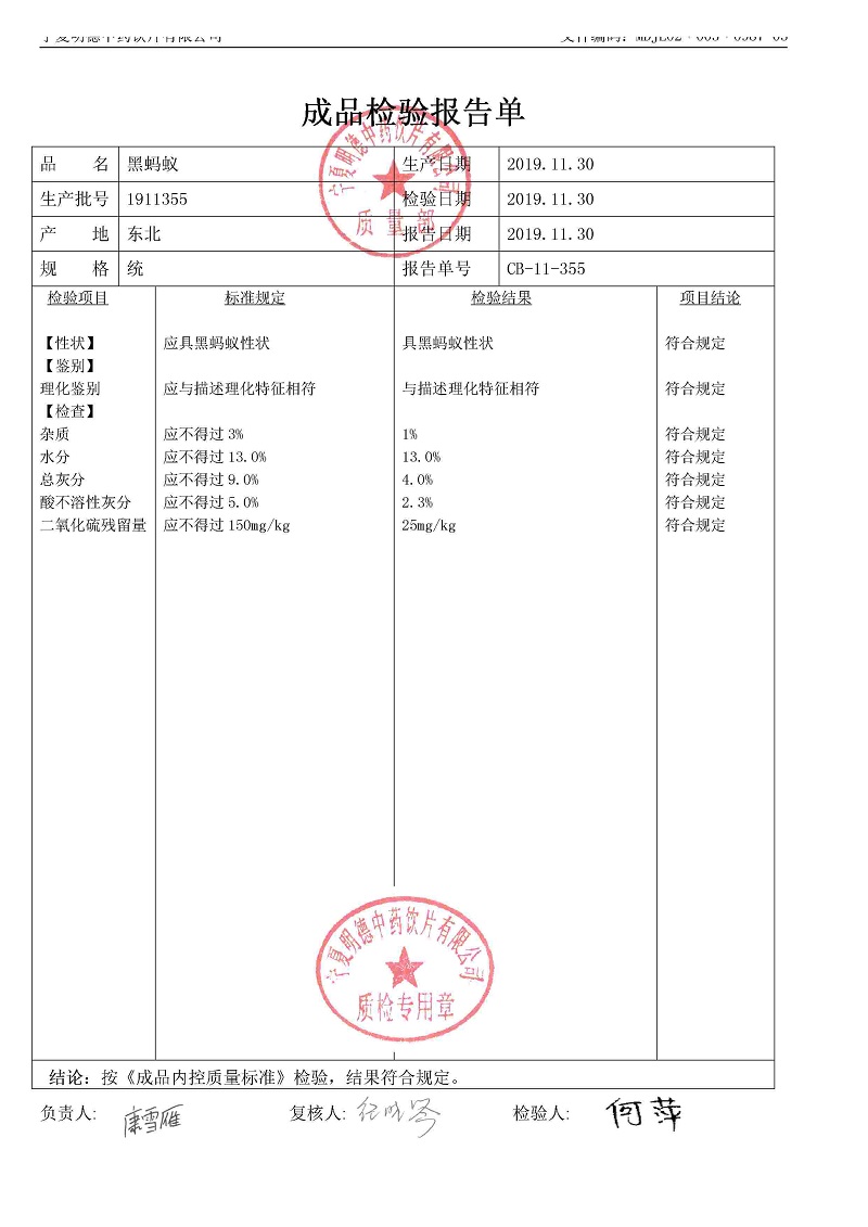 1911355黑蚂蚁.jpg