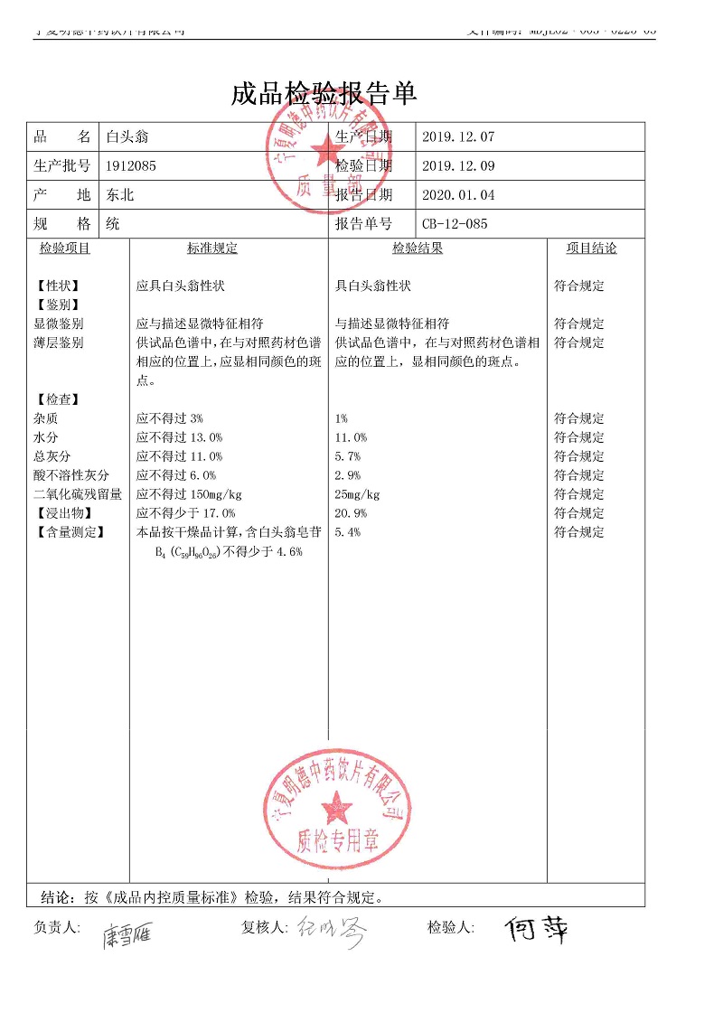 1912085白头翁.jpg
